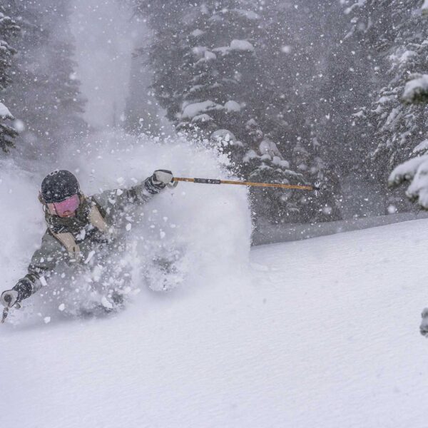 Jackson Hole Ski Pass & Lift Tickets Mountain Collective