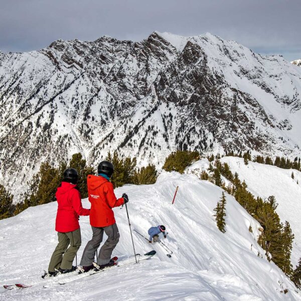 Snowbird Ski Pass & Lift Tickets| Utah Multi Resort Ski Pass