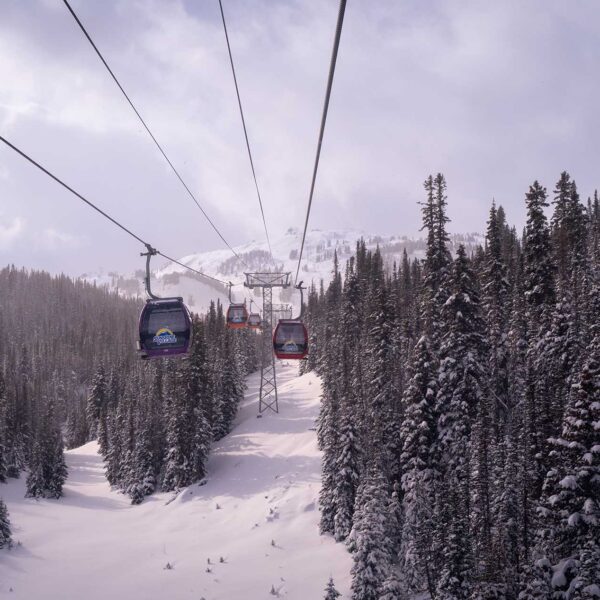 Banff Sunshine Ski Pass | Mountain Collective Season Pass