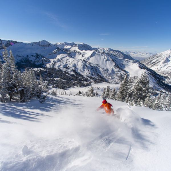 Alta Ski Pass | Utah Ski Pass | Alta Mountain Collective Season Pass