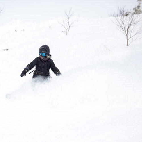 A snowboardeuh déchiquetage Niseko UnitedLa célèbre poudre légère comme l'air au Japon.