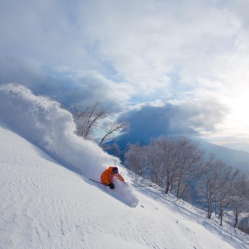 A skier in an orange jacket skiing through fresh powder at Niseko in Japan with Mountain Collective.