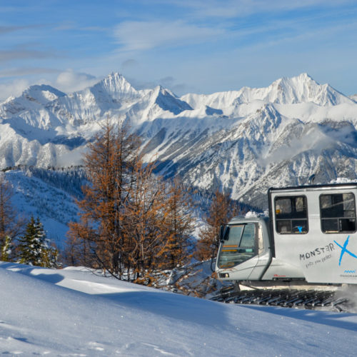 A CAT machine heading up the slopes with peaks in background at Panorama Mountain Resort in Canada.