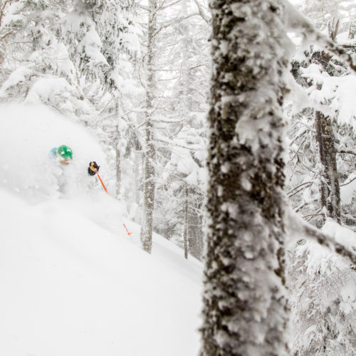A skier covered in powder skiing through the glades at Sugarloaf in Maine.