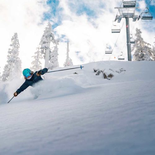 A skier with an aqua helmet skiing waist-deep powder at Sugarbowl in front of snow covered triees.