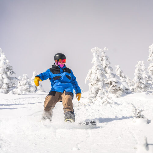 A snowboarder in a blue jacket and helmet rides down a snowy slope. Snow-covered trees surround the scene under a clear, pale sky.